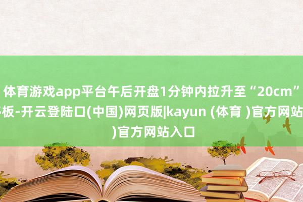 体育游戏app平台午后开盘1分钟内拉升至“20cm”涨停板-开云登陆口(中国)网页版|kayun (体育 )官方网站入口