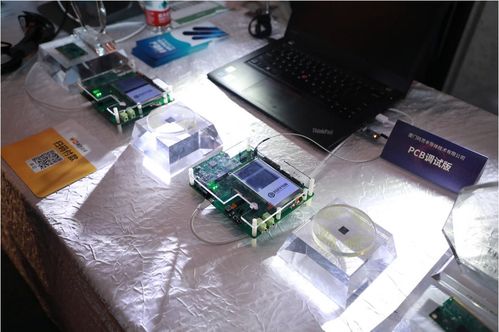 海沧集成电路产业实现新突破 20余项芯产品集中亮相，凸显设计与服务实力